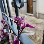 Apartamento Casa Mozárabe